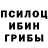 Галлюциногенные грибы мицелий Zaur Abdulkadyrov