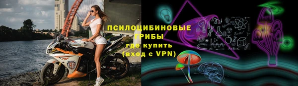 дурь Липки