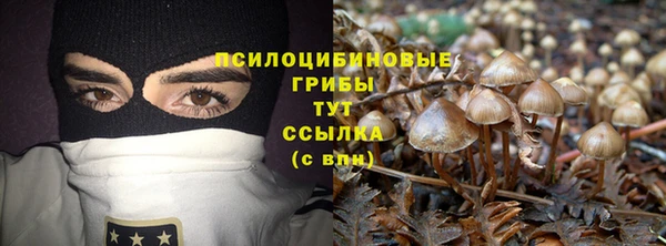 сатива Лиски