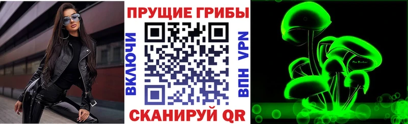 где купить наркоту  mega сайт  Галлюциногенные грибы Cubensis  Северо-Курильск 